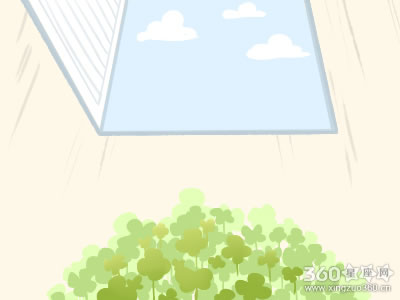节日大全