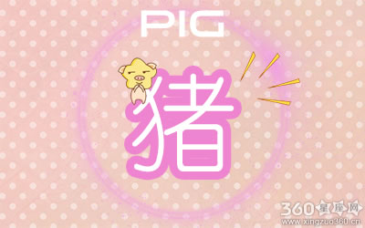 2019年十二生肖全年运程综合分析