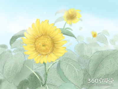 桃花风水