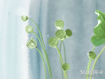 财富测试