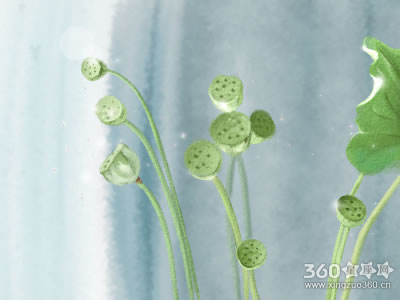家中的桃花煞碰到应该怎么利用风水