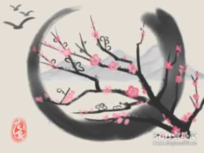 选车牌时要讲究什么风水知识吗
