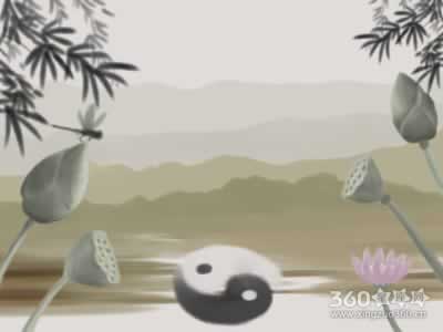 厕所放置什么植物能让风水变好