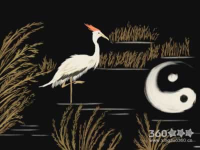 商业风水