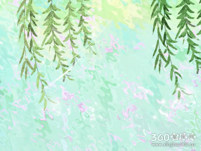 教师节