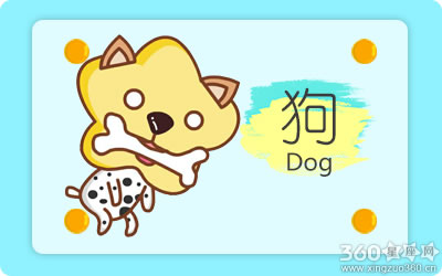 狗宝宝