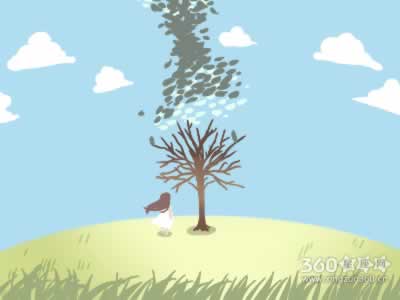 鱼缸风水的居室格局要求主要有什么