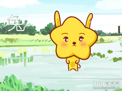 属猴