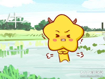 太疯狂 追星追到走火入魔的生肖