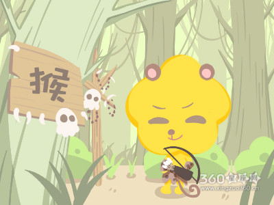 属猴