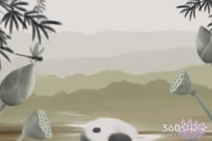 四柱八字