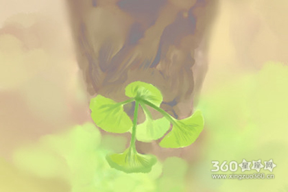 女版称骨算命详细版 解析最灵验的命格测算