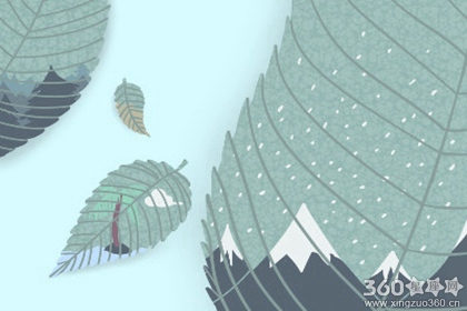 格桑花花语是什么 格桑花的传说