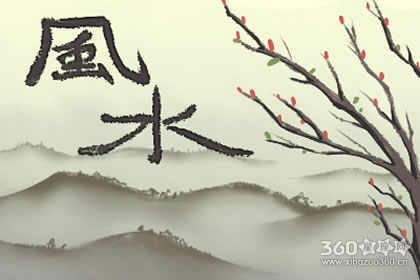家中要注意金蟾的摆放才能招财