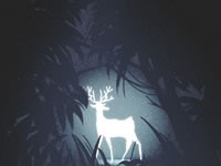 十二星座的幸运数字是哪些？