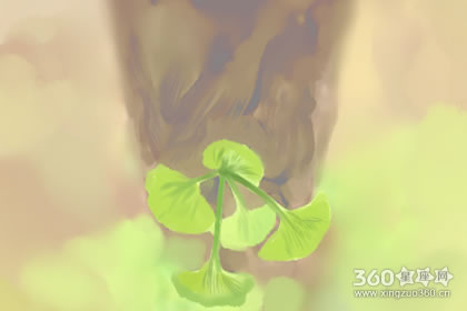 情有独钟 玫瑰花的花语传说