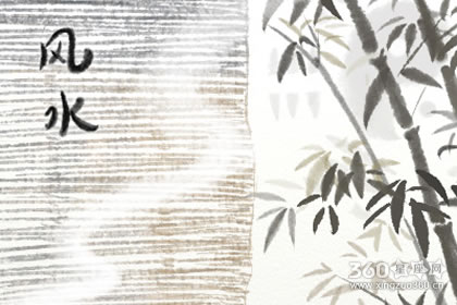 能让公司蓬勃发展的植物风水