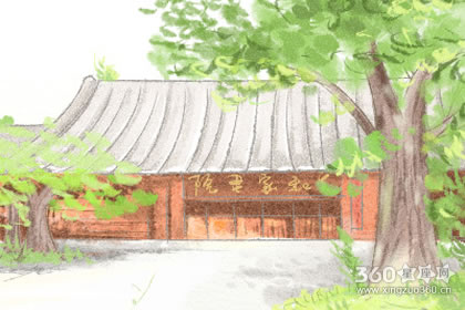 能让公司蓬勃发展的植物风水