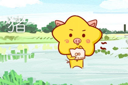 2019年属猪的运势 属猪人的机遇