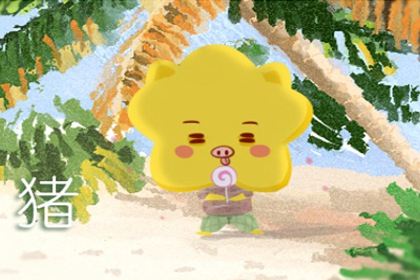 2019年属猪的运势 猪人的命理分析