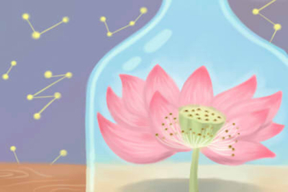 百花之王 牡丹花花语传说