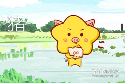 生肖猪2019年一月出生的宝宝什么命