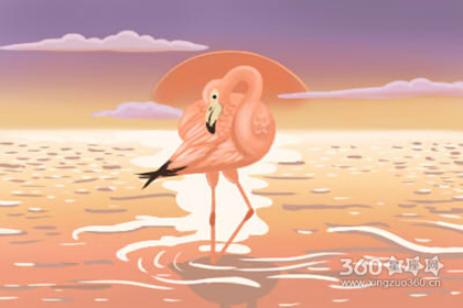 天蝎男在滚床单之前都在想什么