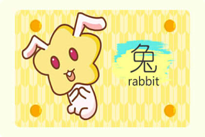 属兔人2019年1月整体运势