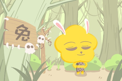属兔的人2019年的运气分析