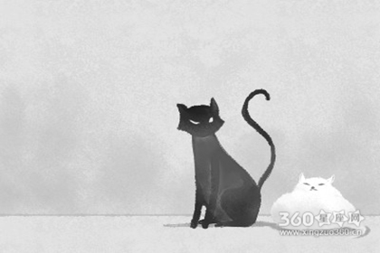 猫石对话每日运势【2017年5月3日】