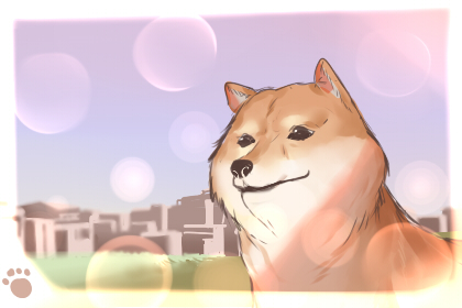 测职场中你转行的次数多还是少呢