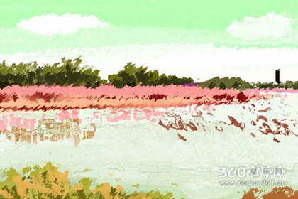 当白羊女可以有多个老公，她们怎样看