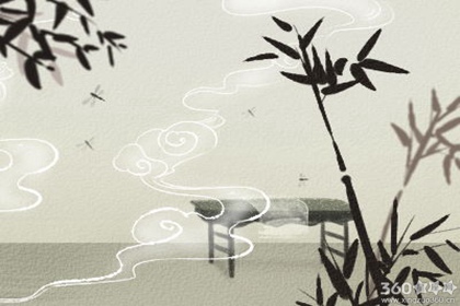 金牛女对上节目相亲有什么看法