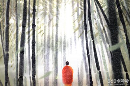 属兔的人为什么不喜欢自拍