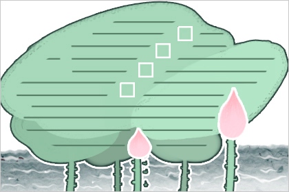 关于谷雨节气的手抄报 二十四节气谷雨