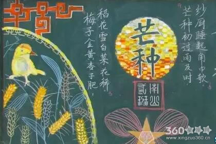 芒种黑板报简笔画 芒种好看简笔画