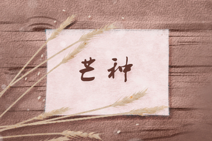 芒种种植什么农作物 种什么蔬菜