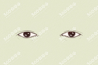眼睛类型及图片及解说 常见眼型