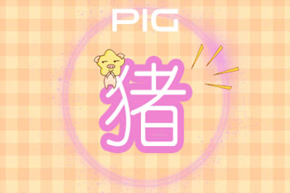 今年是五行什么年 2019是土猪年吗