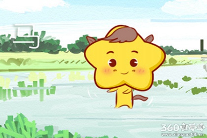 哪些生肖2019年的运势最好