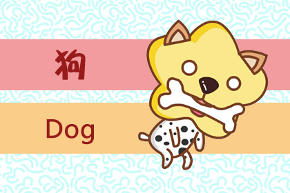 属狗的今年多大 2020年属狗的人多大
