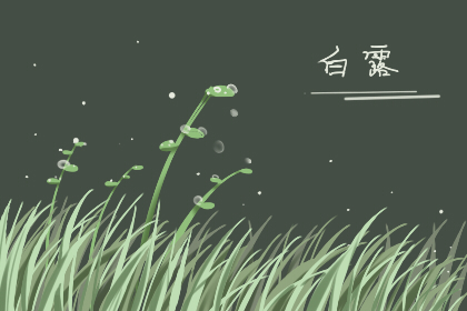 白露祝福语 2019年白露祝福短信大全