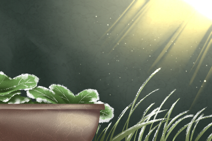 霜降节气祝福语 祝福语大全