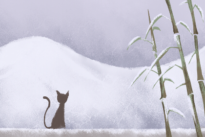2019年小雪冷不冷 小雪的节气特征