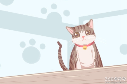 怀孕梦到猫是什么意思 有什么含义