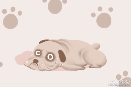 做梦梦到狗是什么意思 有什么预兆