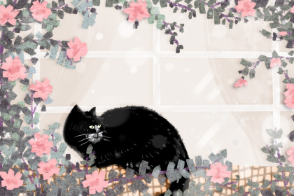 做梦梦到黑猫是什么意思 有什么含义