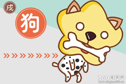 很理性 考虑情感问题很慎重冷静的生肖