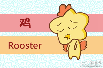 81鸡和82狗的姻缘破解 一定不合吗