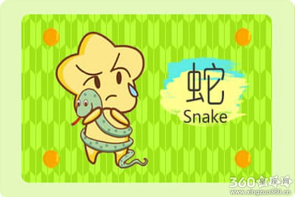 属蛇和属狗的合不合 在一起合适吗